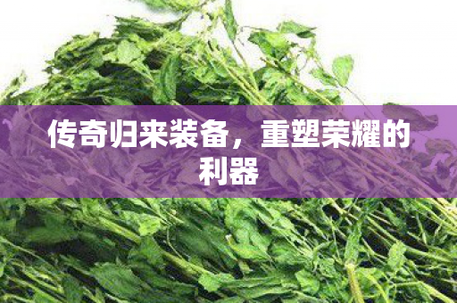 重塑荣耀的利器图片