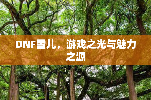 游戏之光与魅力之源图片