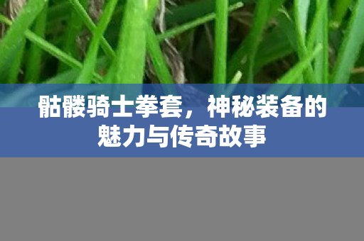 神秘装备的魅力与传奇故事图片