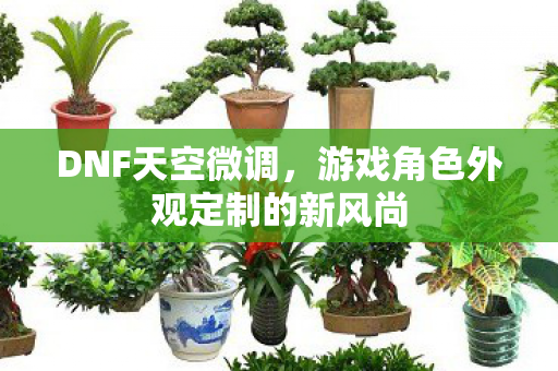 游戏角色外观定制的新风尚图片