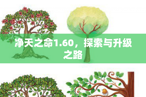 探索与升级之路图片