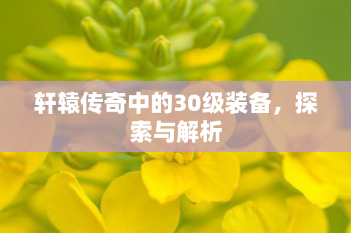 轩辕传奇中的30级装备图片