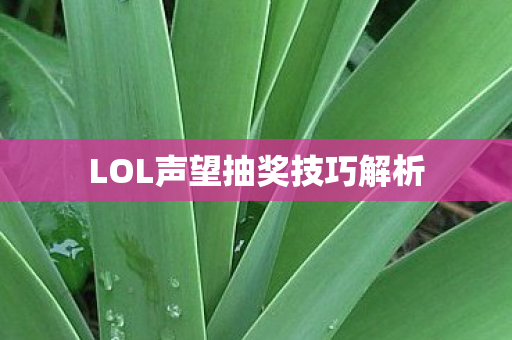 LOL声望抽奖技巧解析图片