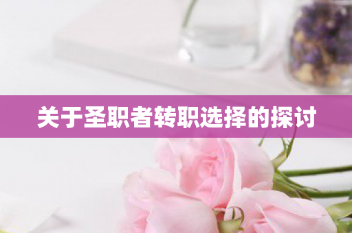 关于圣职者转职选择的探讨图片
