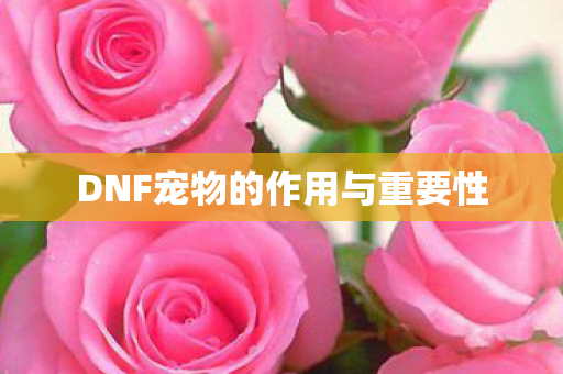 DNF宠物的作用与重要性图片
