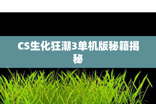 CS生化狂潮3单机版秘籍揭秘图片