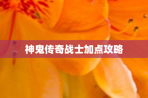 神鬼传奇战士加点攻略图片
