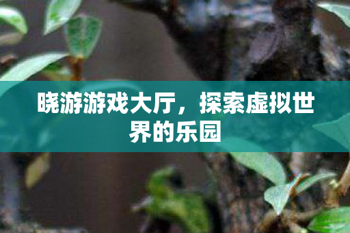 探索虚拟世界的乐园图片