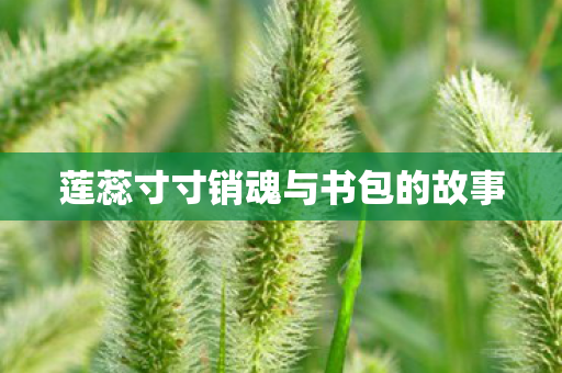 莲蕊寸寸销魂与书包的故事图片