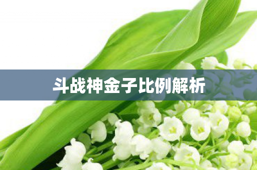 斗战神金子比例解析图片