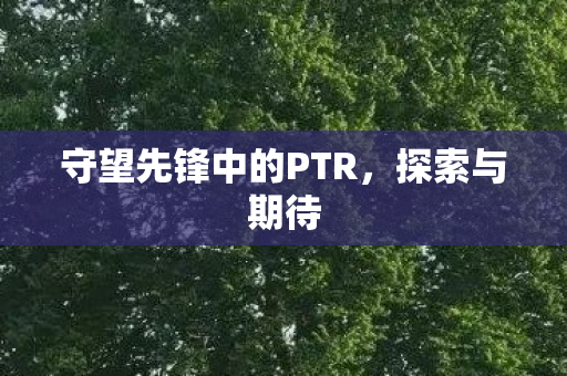 守望先锋中的PTR图片