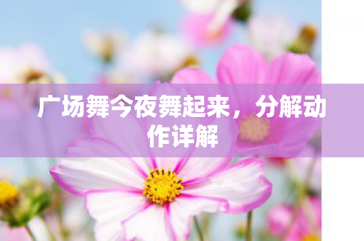 广场舞今夜舞起来图片