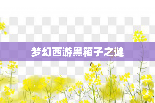 梦幻西游黑箱子之谜图片