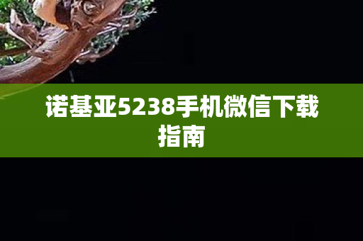 诺基亚5238手机微信下载指南图片
