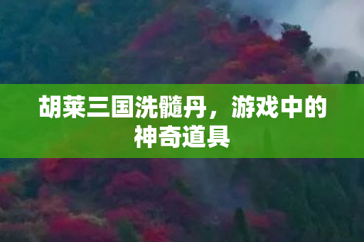 游戏中的神奇道具图片