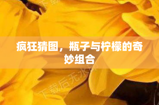 瓶子与柠檬的奇妙组合图片