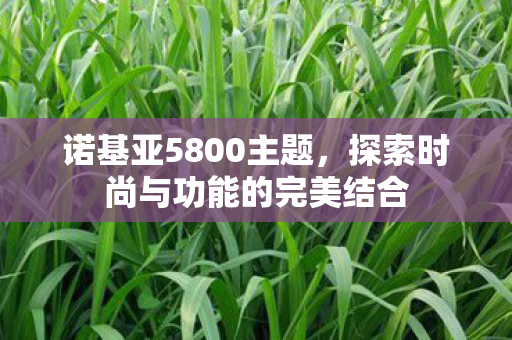 探索时尚与功能的完美结合图片