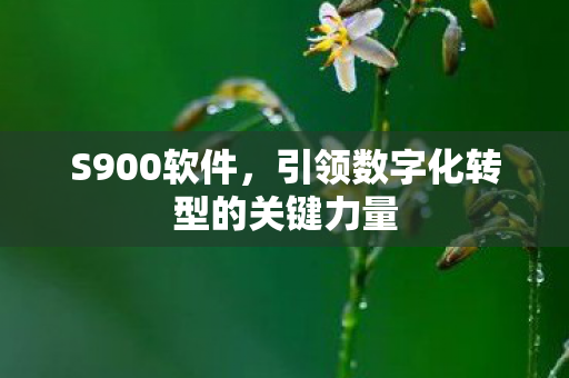 引领数字化转型的关键力量图片