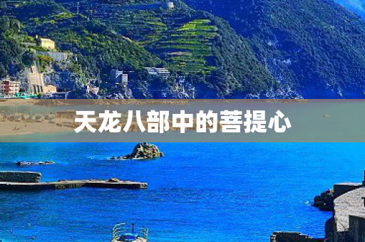 天龙八部中的菩提心图片