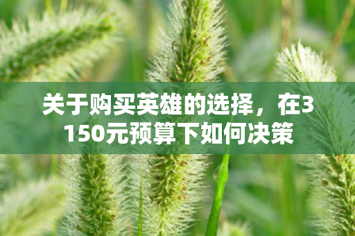 在3150元预算下如何决策图片