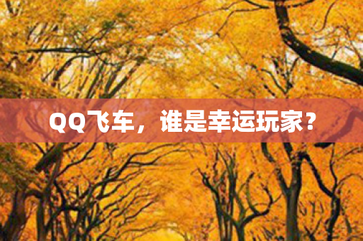谁是幸运玩家图片