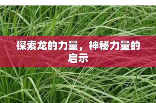 神秘力量的启示图片