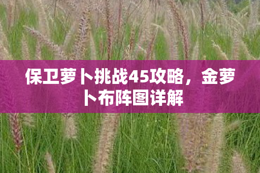 保卫萝卜挑战45攻略图片