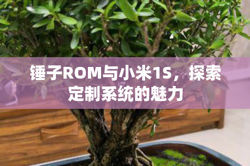 锤子ROM与小米1S图片