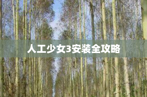 人工少女3安装全攻略图片