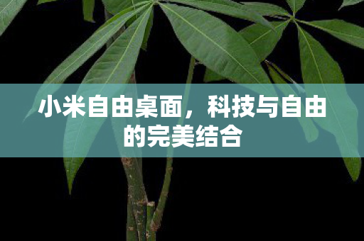 科技与自由的完美结合图片