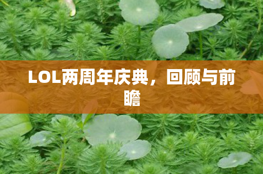 LOL两周年庆典图片