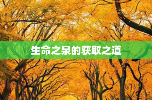生命之泉的获取之道图片