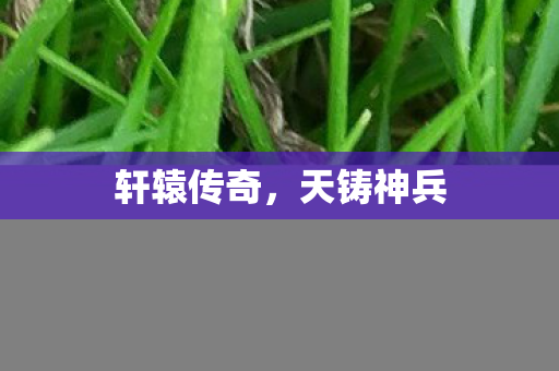 轩辕传奇图片