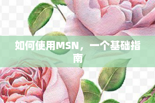 如何使用MSN图片