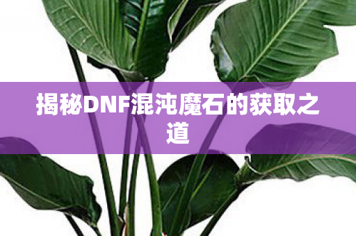揭秘DNF混沌魔石的获取之道图片