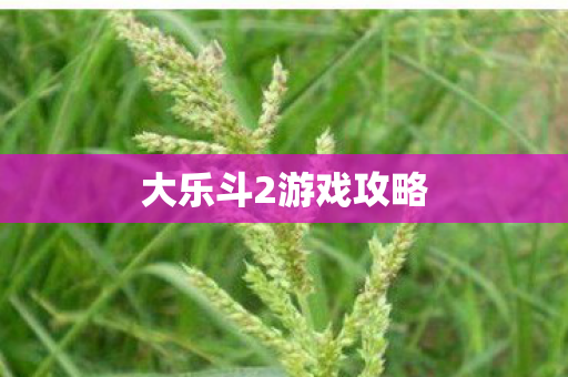 大乐斗2游戏攻略图片