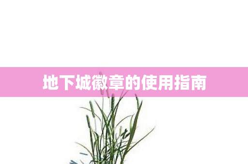 地下城徽章的使用指南图片