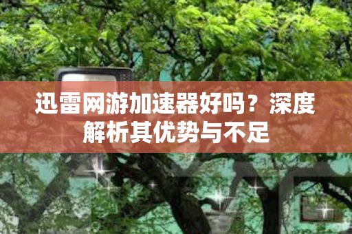 深度解析其优势与不足图片
