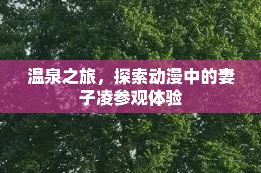 探索动漫中的妻子凌参观体验图片