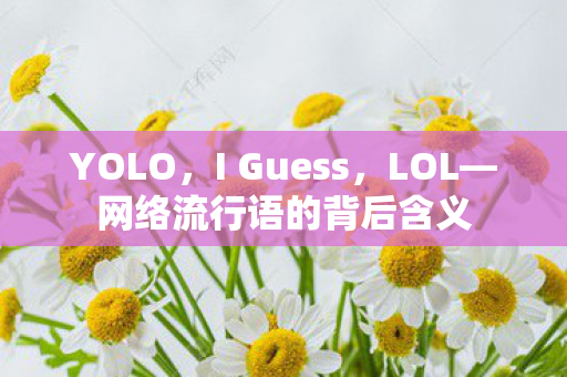 网络流行语的背后含义图片