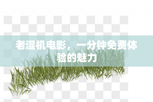 一分钟免费体验的魅力图片