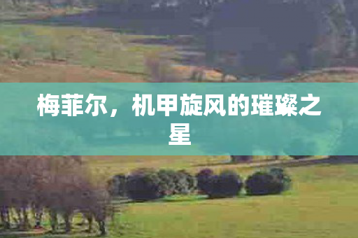 机甲旋风的璀璨之星图片