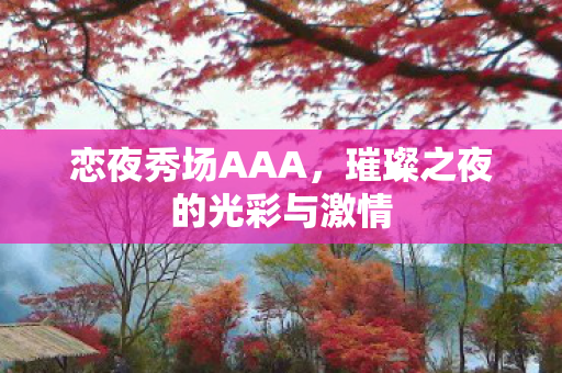 璀璨之夜的光彩与激情图片