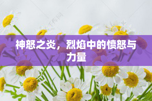 烈焰中的愤怒与力量图片