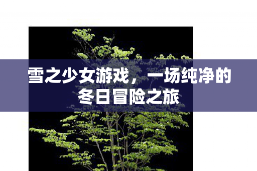 一场纯净的冬日冒险之旅图片