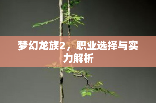 职业选择与实力解析图片