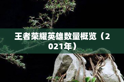 王者荣耀英雄数量概览图片