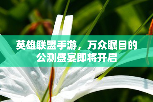 万众瞩目的公测盛宴即将开启图片