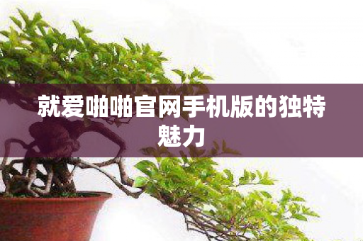 就爱啪啪官网手机版的独特魅力图片