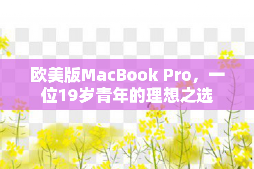 欧美版MacBook Pro图片
